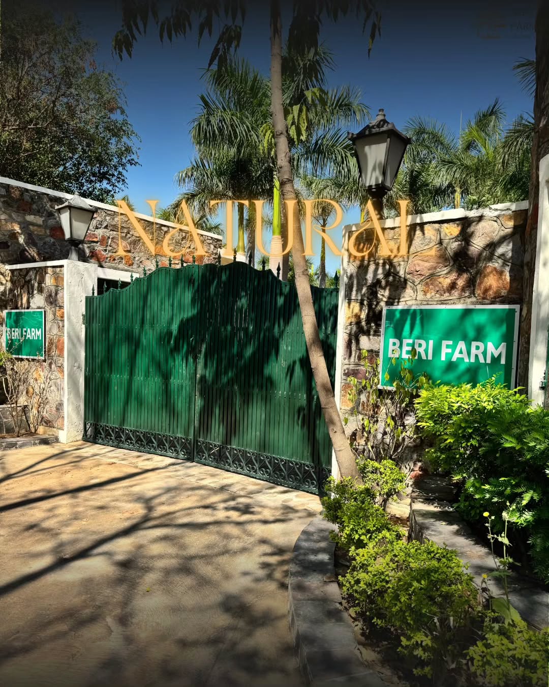 Beri Farm Manesar