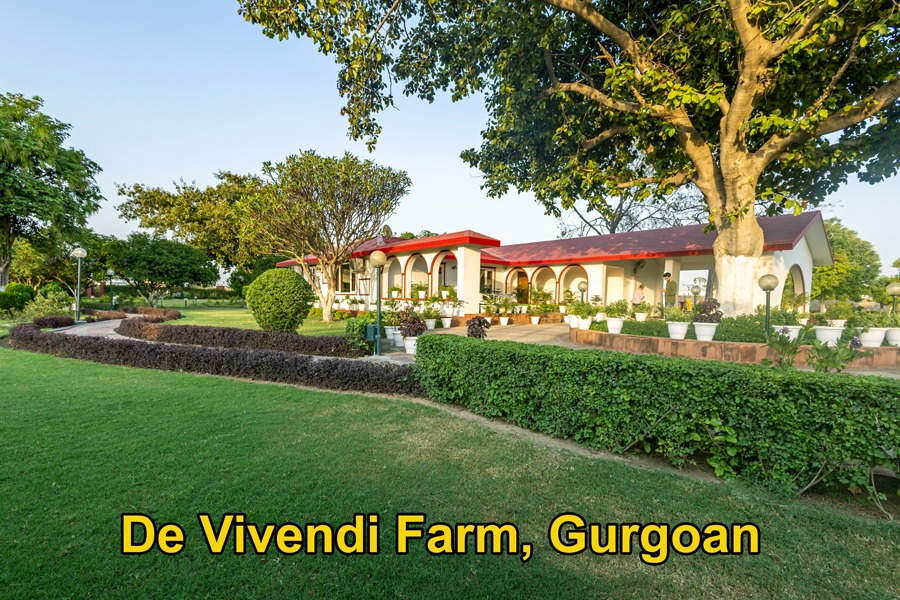De Vivendi Farmhouse Manesar