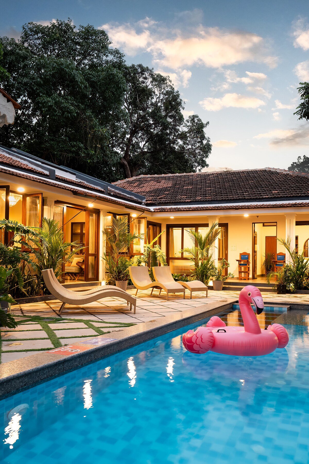 Acacia Âmago Goa